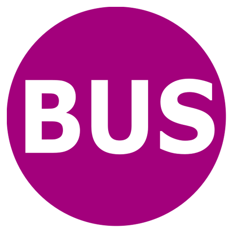 bus bus